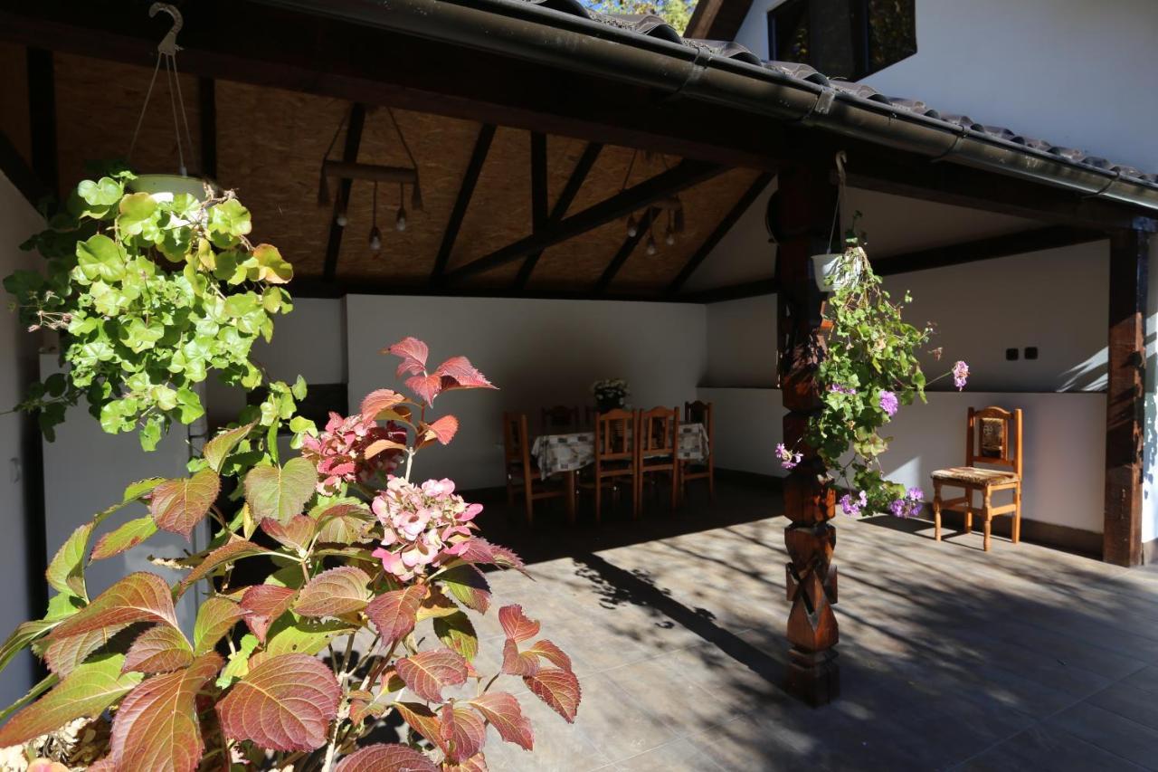 Casa Morii Ohaba Villa Exterior photo