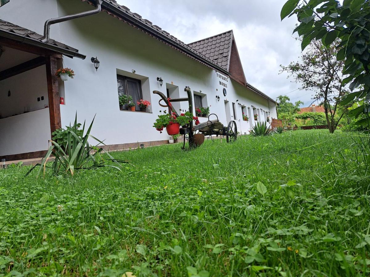 Casa Morii Ohaba Villa Exterior photo